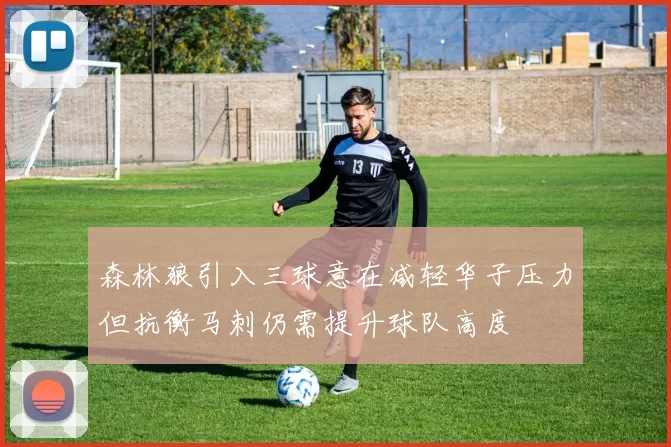 森林狼引入三球意在减轻华子压力但抗衡马刺仍需提升球队高度
