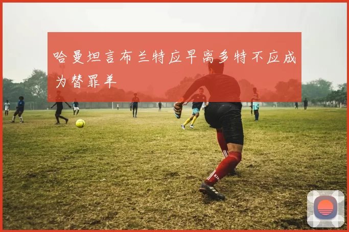 哈曼坦言布兰特应早离多特不应成为替罪羊