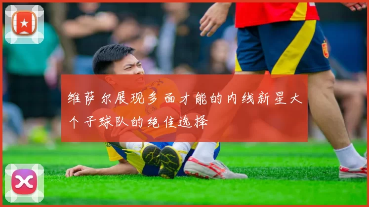 维萨尔展现多面才能的内线新星大个子球队的绝佳选择