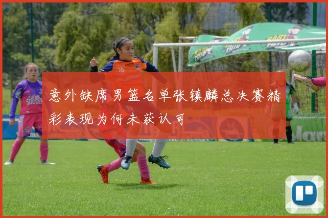 意外缺席男篮名单张镇麟总决赛精彩表现为何未获认可