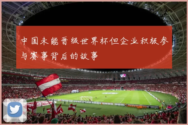 中国未能晋级世界杯但企业积极参与赛事背后的故事